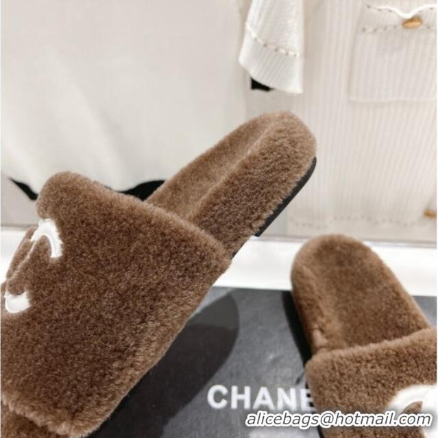 Low Price Chanel Shearling Flat Slide Sandals Brown 090722