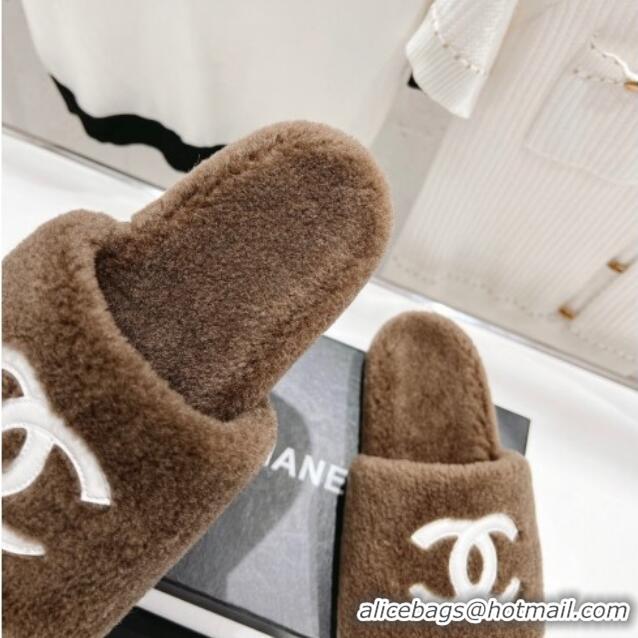 Low Price Chanel Shearling Flat Slide Sandals Brown 090722