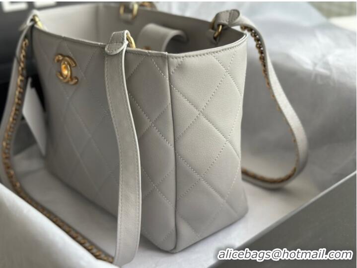 Buy Inexpensive CHANEL Calfskin & Gold-Tone Metal AS3508 light gray