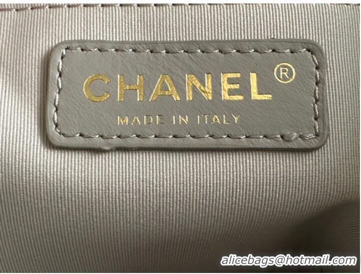 Buy Inexpensive CHANEL Calfskin & Gold-Tone Metal AS3508 light gray