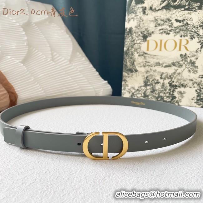 Discount Dior Leather Belt 20MM 2799