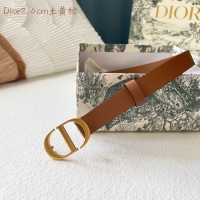 Most Popular Dior Le...