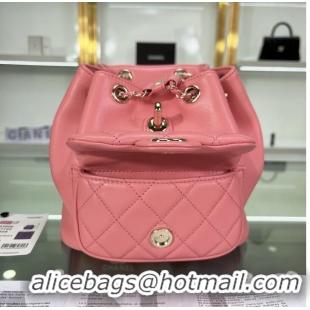 Super Quality Chanel Backpack Sheepskin Original Leather AS2908 Pink