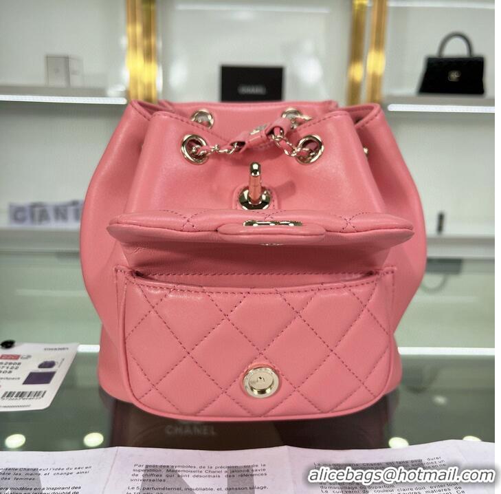 Super Quality Chanel Backpack Sheepskin Original Leather AS2908 Pink