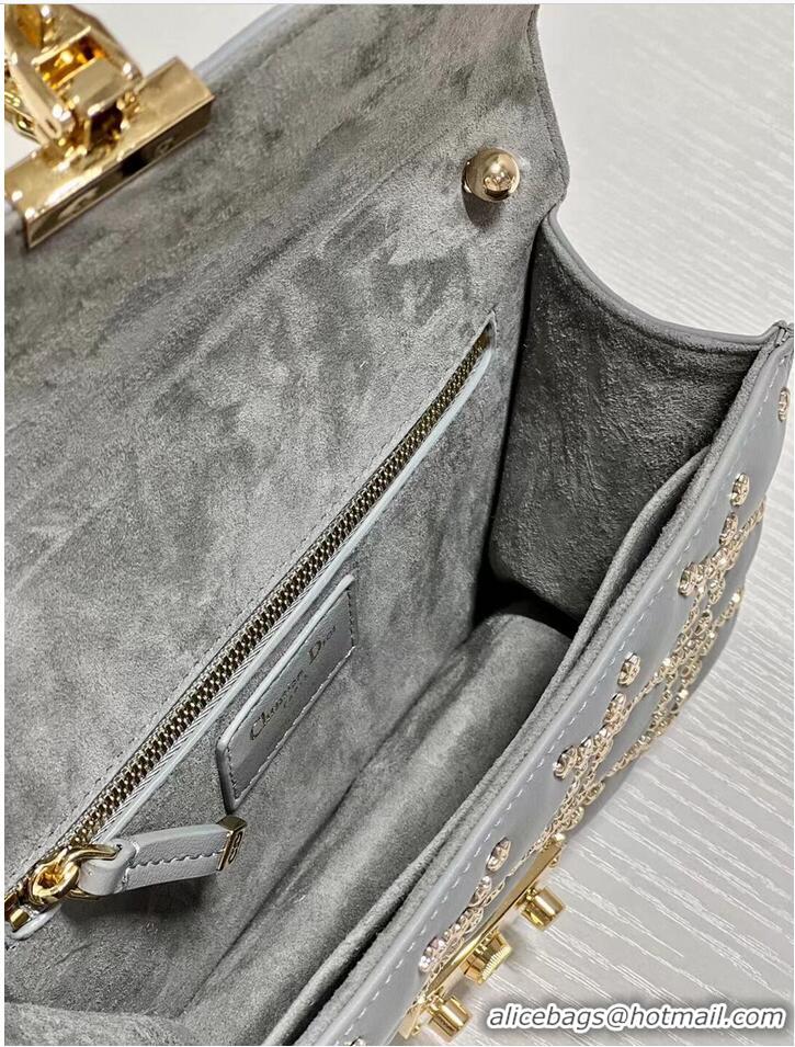 Popular Style DIOR BAG Lucky Star Cannage Lambskin C2628 gray