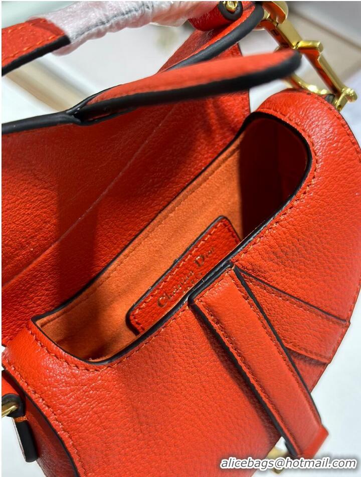 Top Quality DIOR MICRO SADDLE BAG Antique Goatskin S5685CC orange