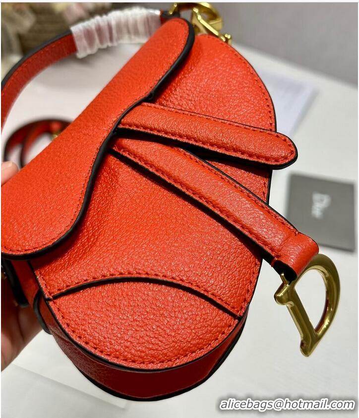 Top Quality DIOR MICRO SADDLE BAG Antique Goatskin S5685CC orange