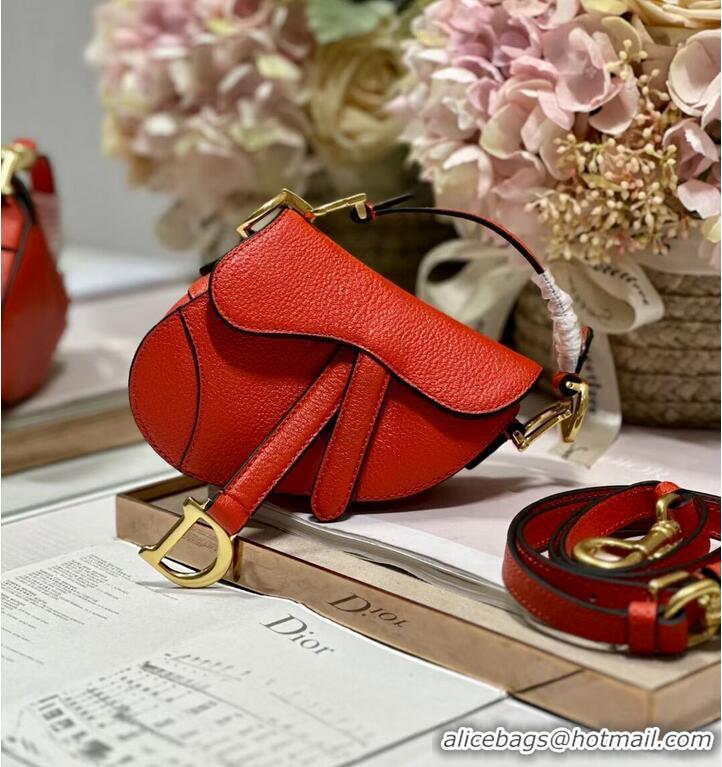 Top Quality DIOR MICRO SADDLE BAG Antique Goatskin S5685CC orange