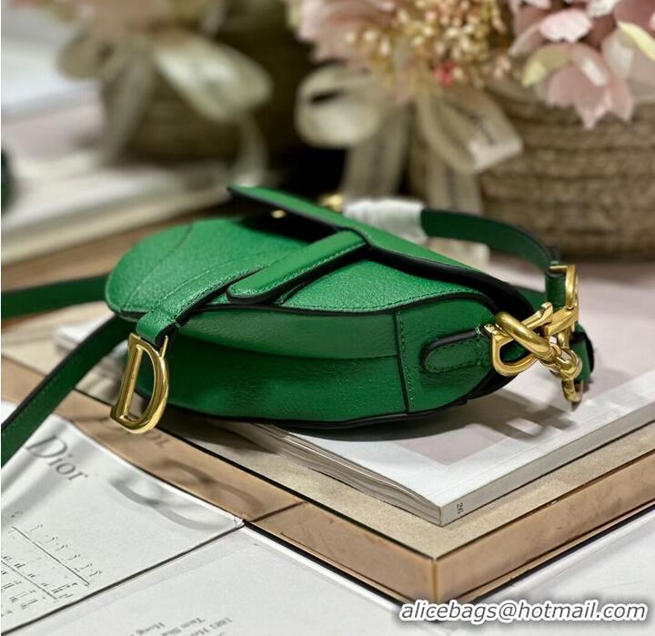 Good Product DIOR MICRO SADDLE BAG Antique Goatskin S5685CC green