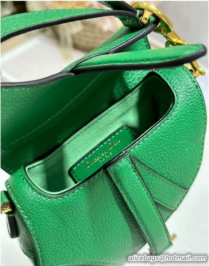 Good Product DIOR MICRO SADDLE BAG Antique Goatskin S5685CC green