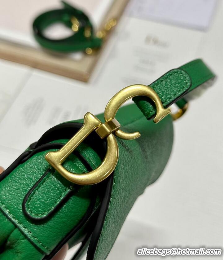 Good Product DIOR MICRO SADDLE BAG Antique Goatskin S5685CC green