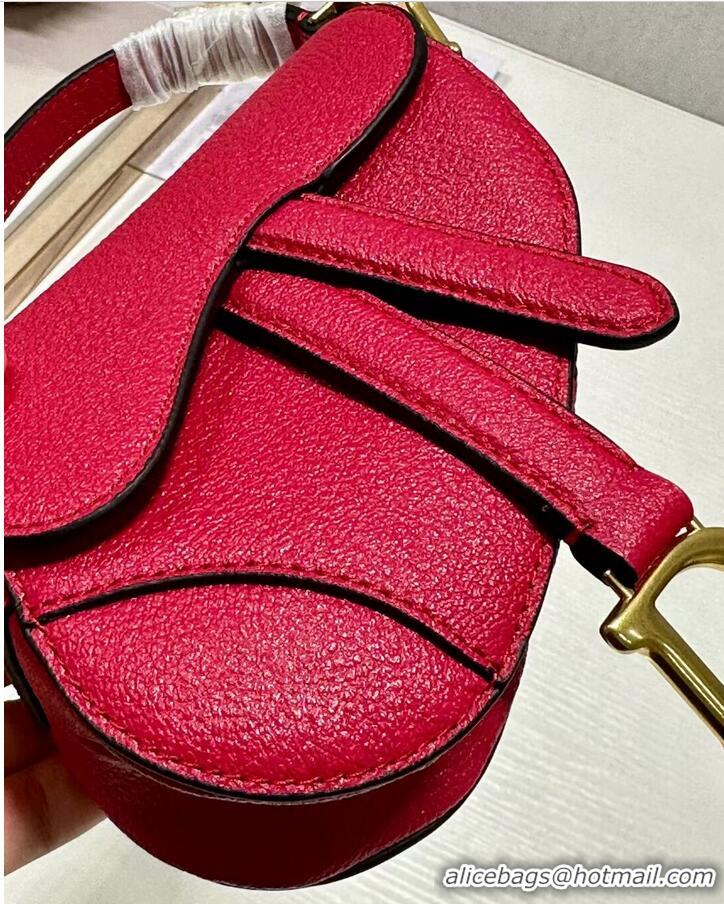 Promotional DIOR MICRO SADDLE BAG Antique Goatskin S5685CC red