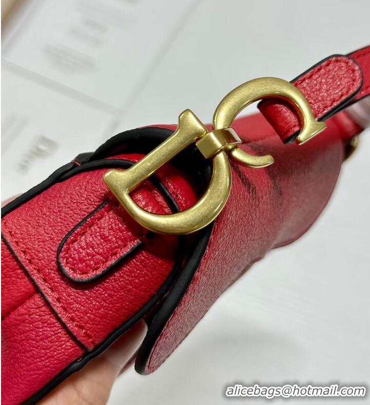 Promotional DIOR MICRO SADDLE BAG Antique Goatskin S5685CC red