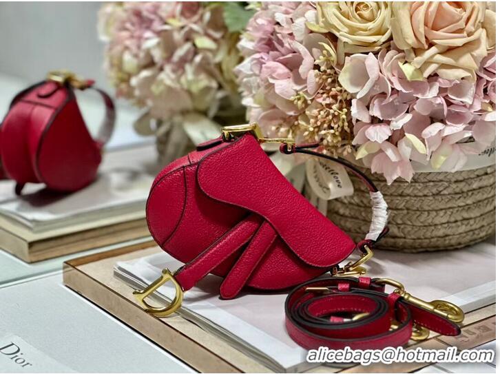 Promotional DIOR MICRO SADDLE BAG Antique Goatskin S5685CC red