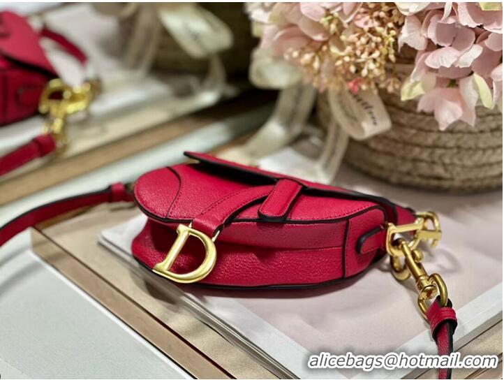 Promotional DIOR MICRO SADDLE BAG Antique Goatskin S5685CC red