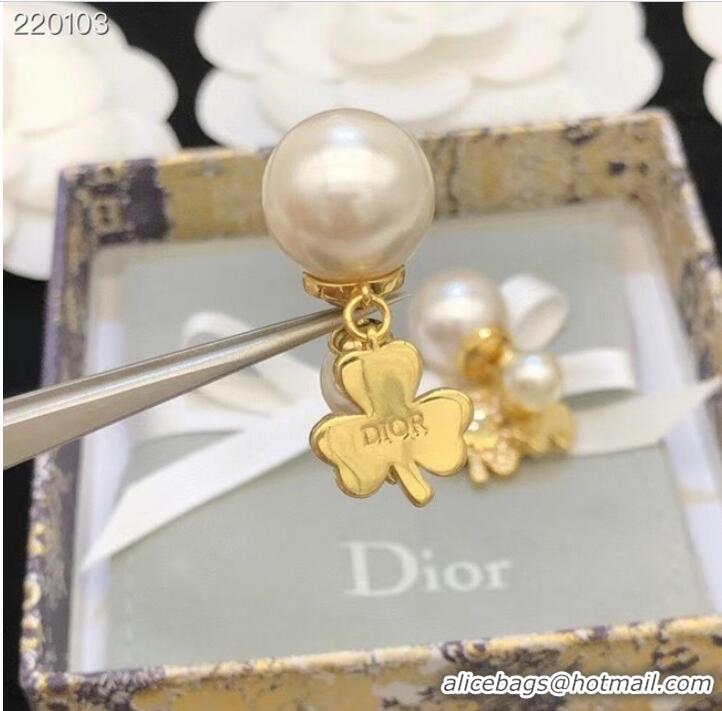 Reasonable Price Dior Earrings CE7692