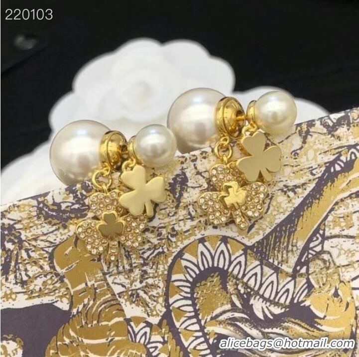 Reasonable Price Dior Earrings CE7692