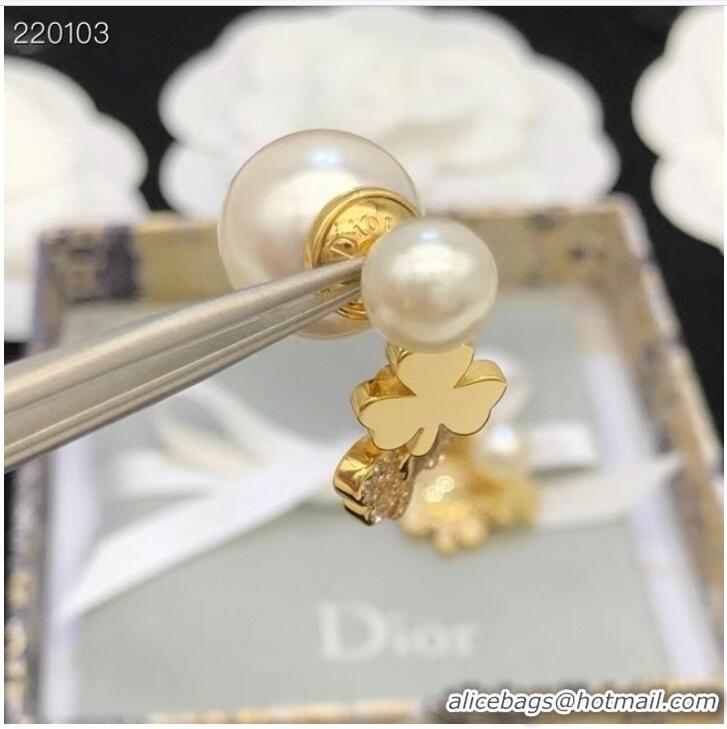 Reasonable Price Dior Earrings CE7692