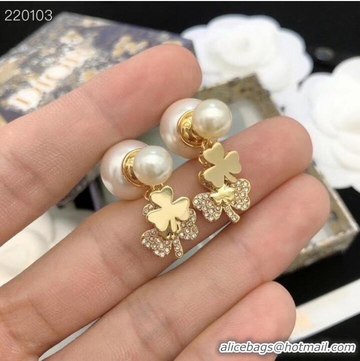 Reasonable Price Dior Earrings CE7692