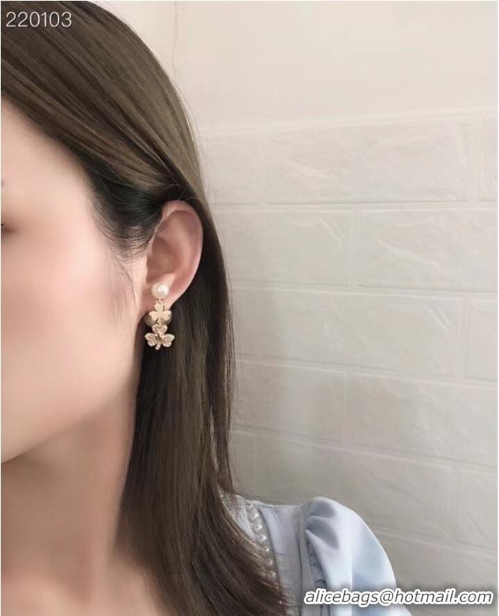 Reasonable Price Dior Earrings CE7692