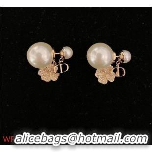 Famous Brand Dior Earrings CE7730