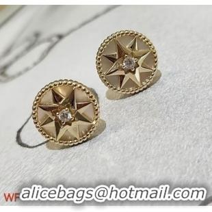 Hot Sell Cheap Dior Earrings CE7733