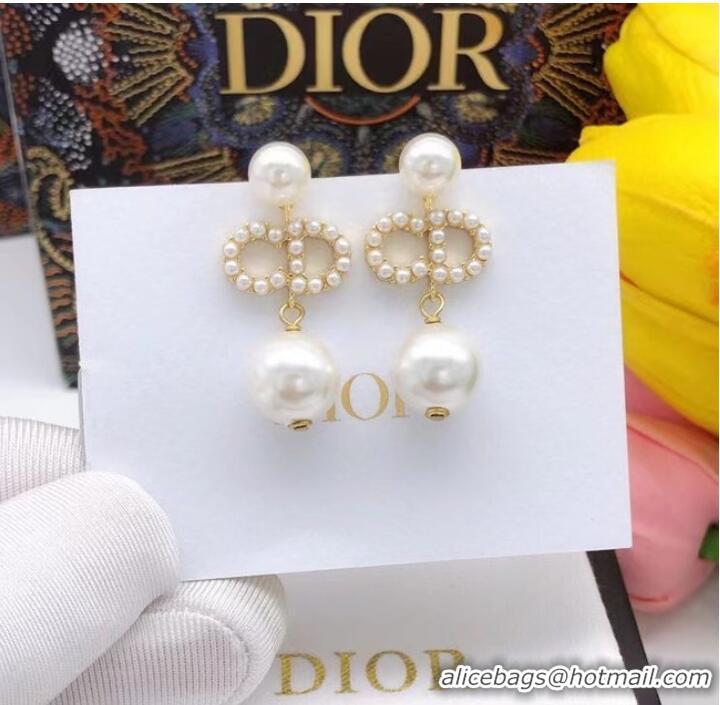 Unique Style Dior Earrings CE7807