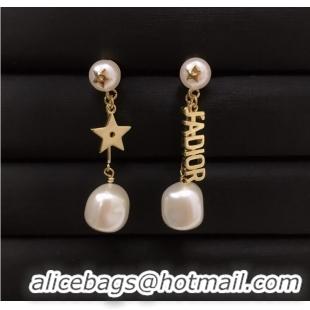 Super Quality Dior Earrings CE7859