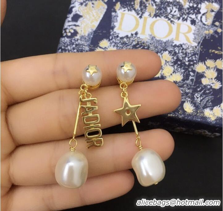 Super Quality Dior Earrings CE7859