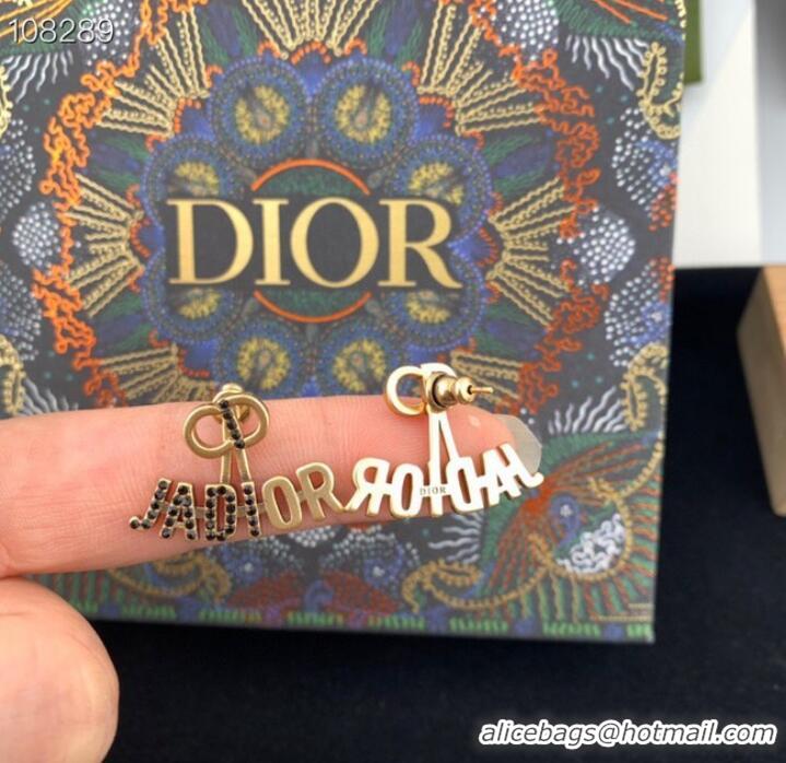 Good Taste Dior Earrings CE7949