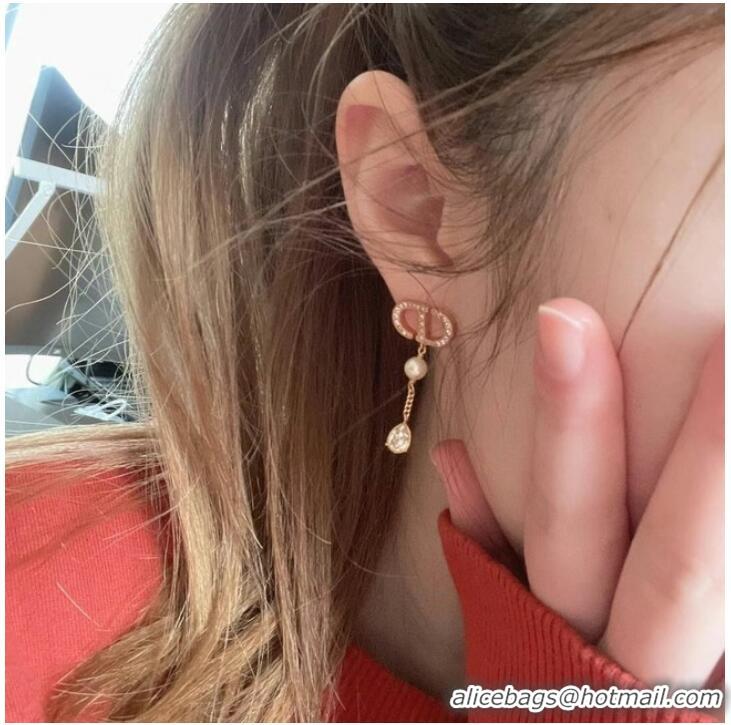 Good Product Dior Earrings CE7980