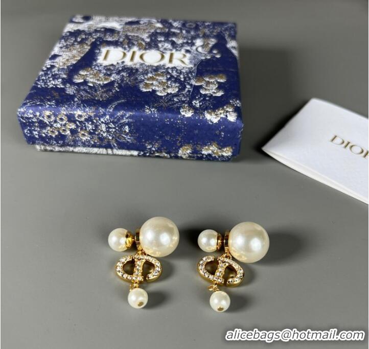 Good Quality Dior Earrings CE7807