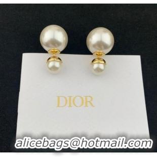 Reasonable Price Promotional Dior Earrings CE7810