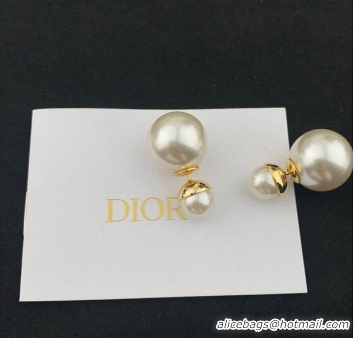 Reasonable Price Promotional Dior Earrings CE7810