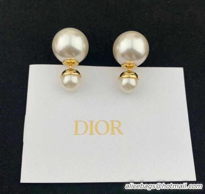 Reasonable Price Promotional Dior Earrings CE7810