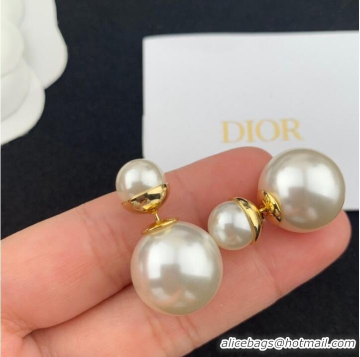 Reasonable Price Promotional Dior Earrings CE7810