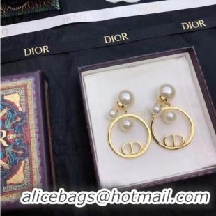 Top Quality Elegant Dior Earrings CE7811