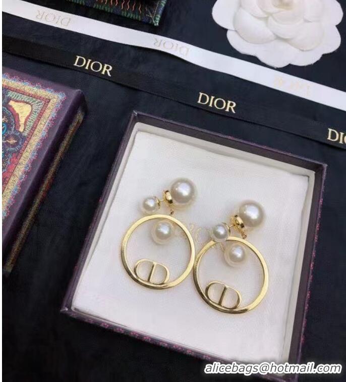 Top Quality Elegant Dior Earrings CE7811