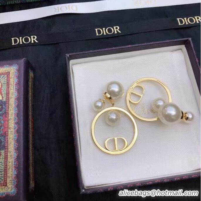 Top Quality Elegant Dior Earrings CE7811