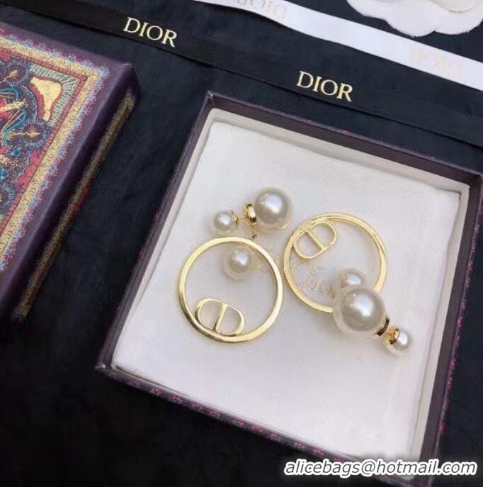 Top Quality Elegant Dior Earrings CE7811