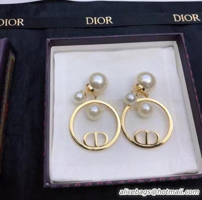 Top Quality Elegant Dior Earrings CE7811