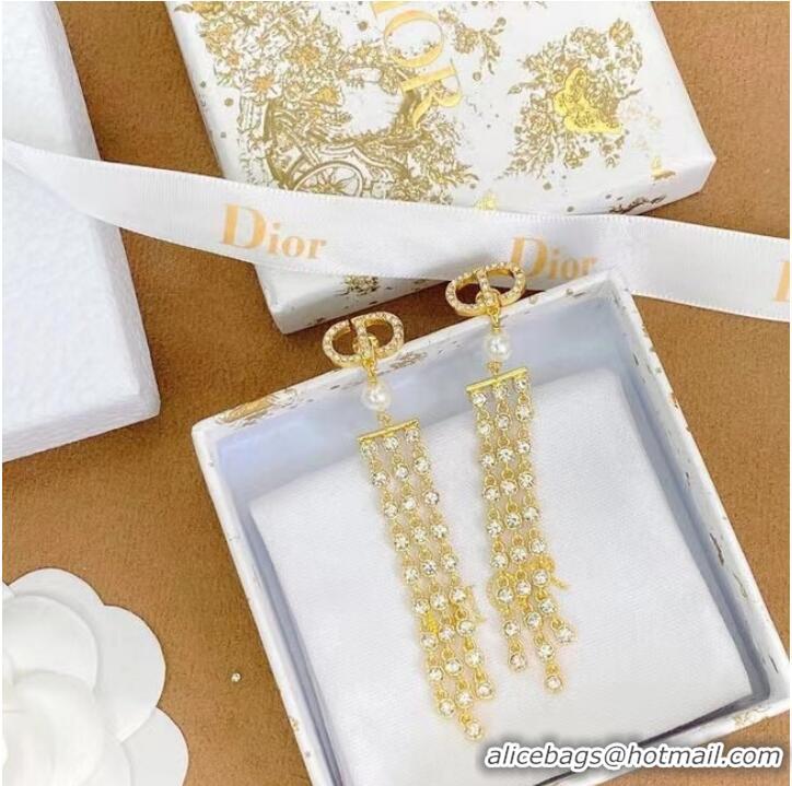 Reasonable Price Promotional Dior Earrings CE7994