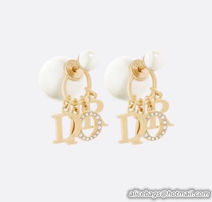 Good Product Dior Earrings CE8001