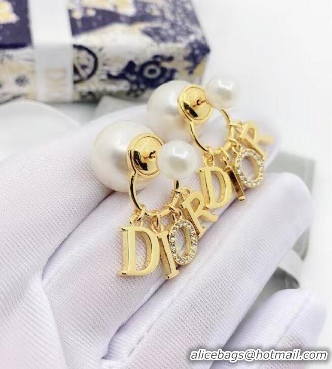 Good Product Dior Earrings CE8001