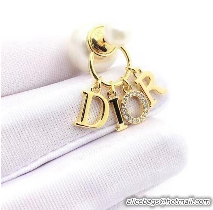 Good Product Dior Earrings CE8001