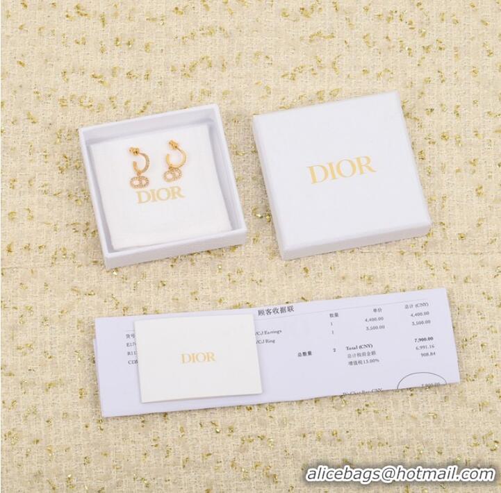 Shop Top Quality Dior Earrings CE8053