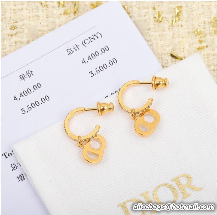 Shop Top Quality Dior Earrings CE8053