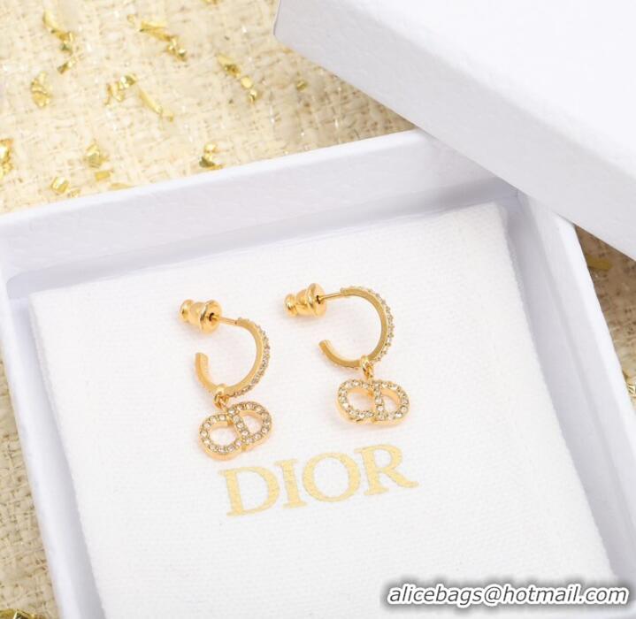 Shop Top Quality Dior Earrings CE8053