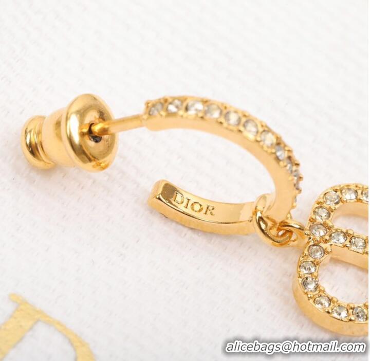 Shop Top Quality Dior Earrings CE8053