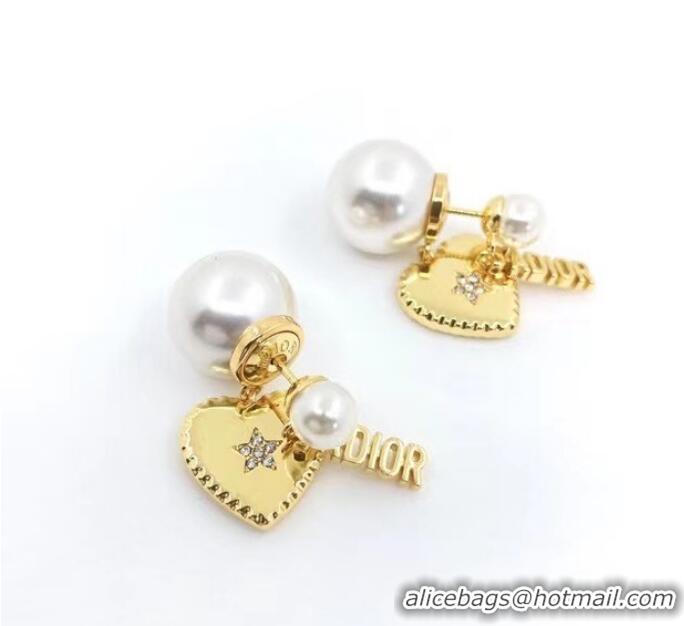 Good Product Dior Earrings CE8080